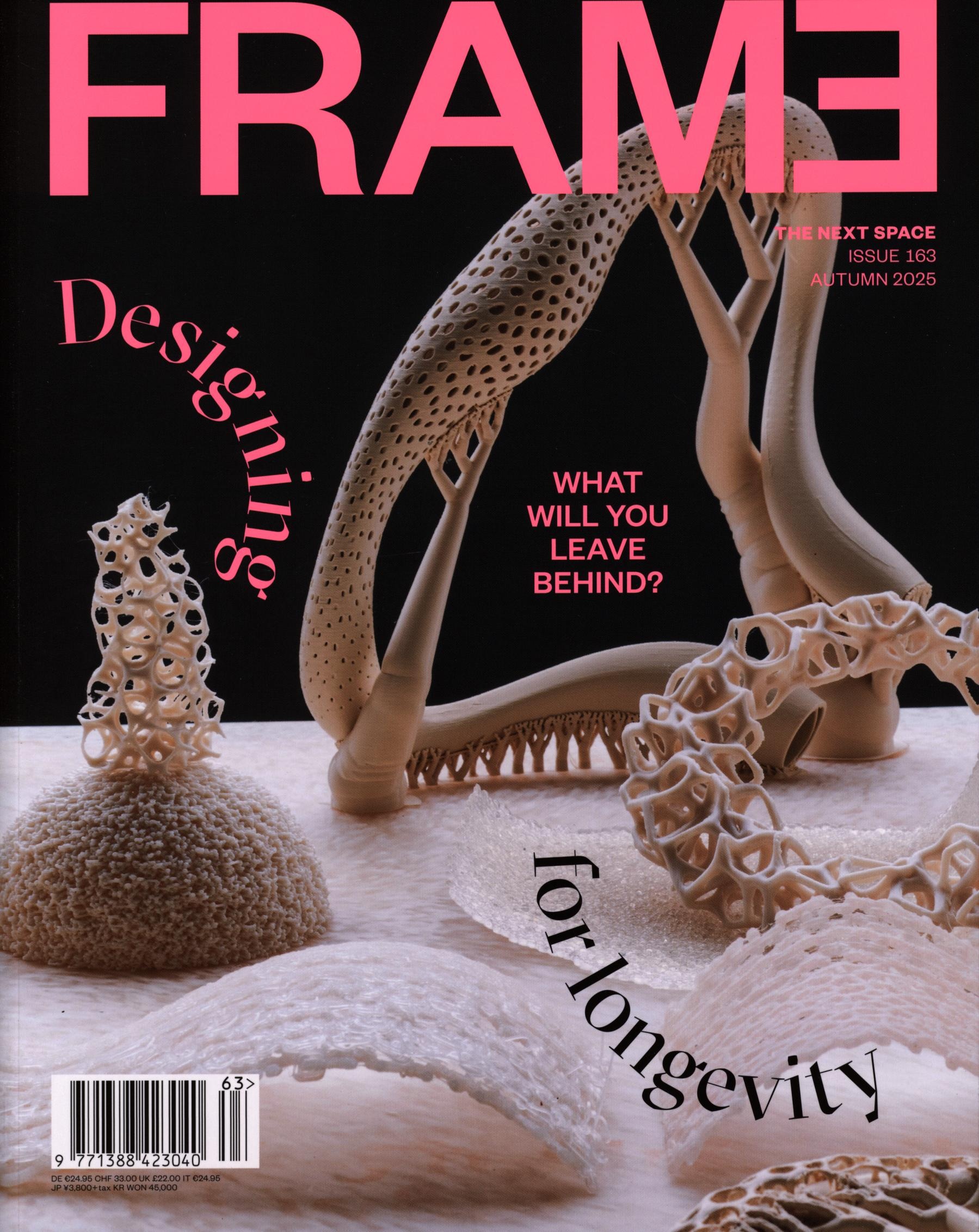 FRAME 163/2025