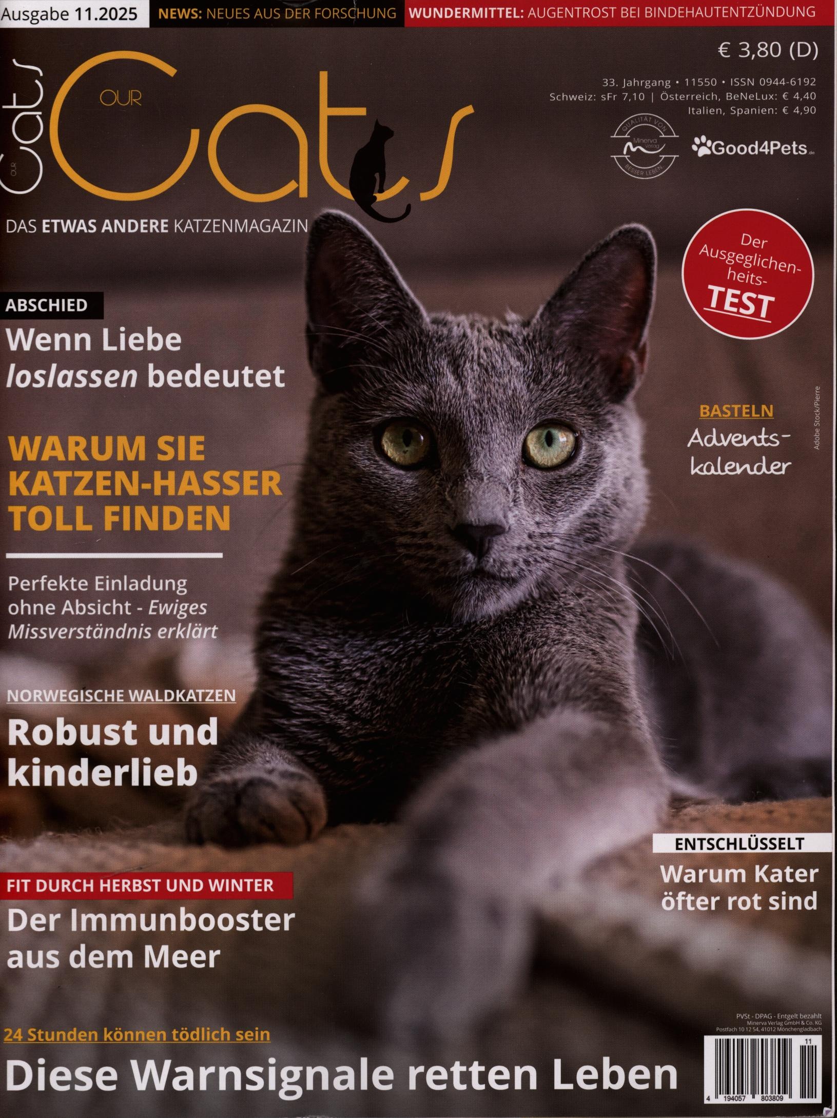Our Cats 11/2025