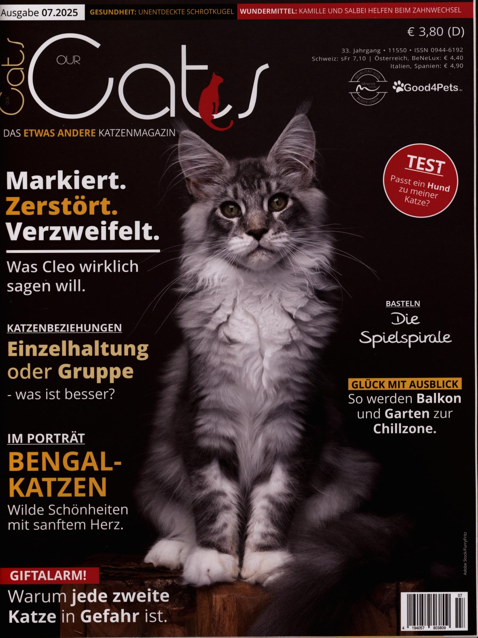 Our Cats 7/2025