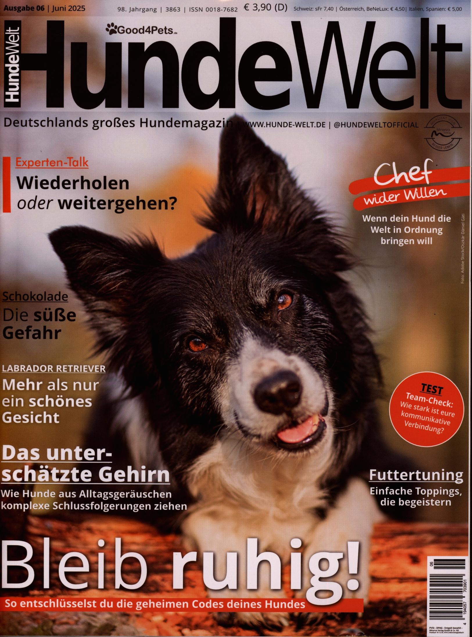 Hundewelt 6/2025