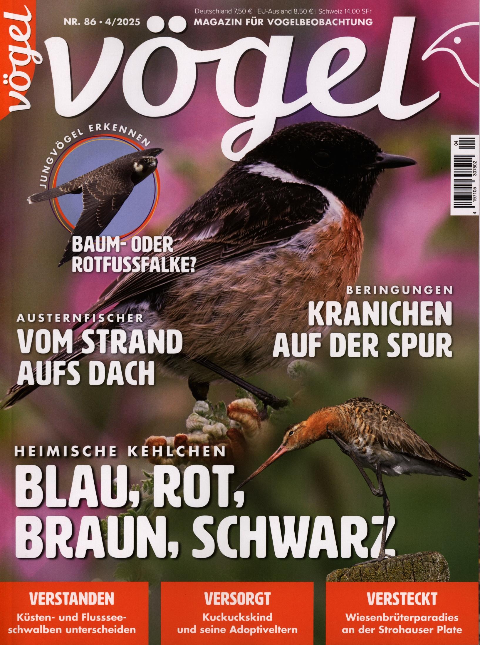 Vögel 4/2025
