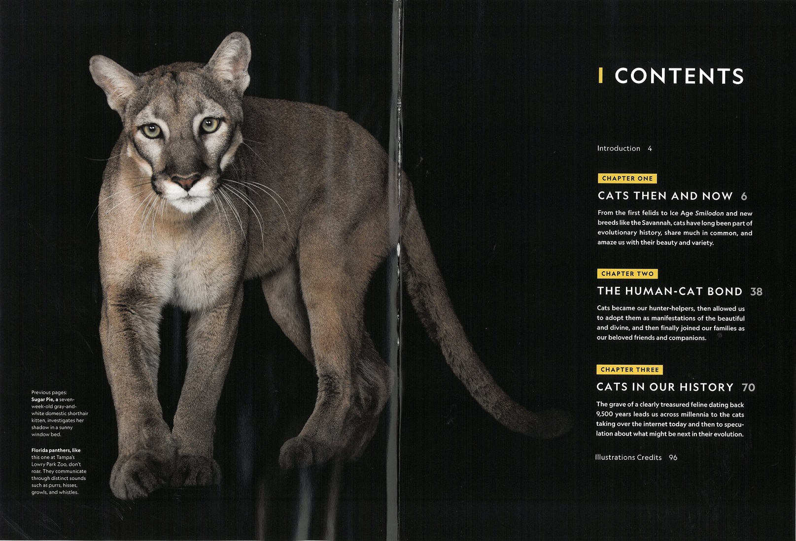 National Geographic Special 67/2025