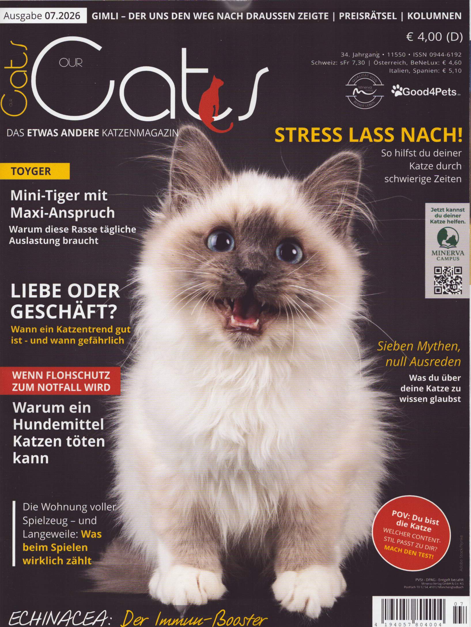 Our Cats 7/2026