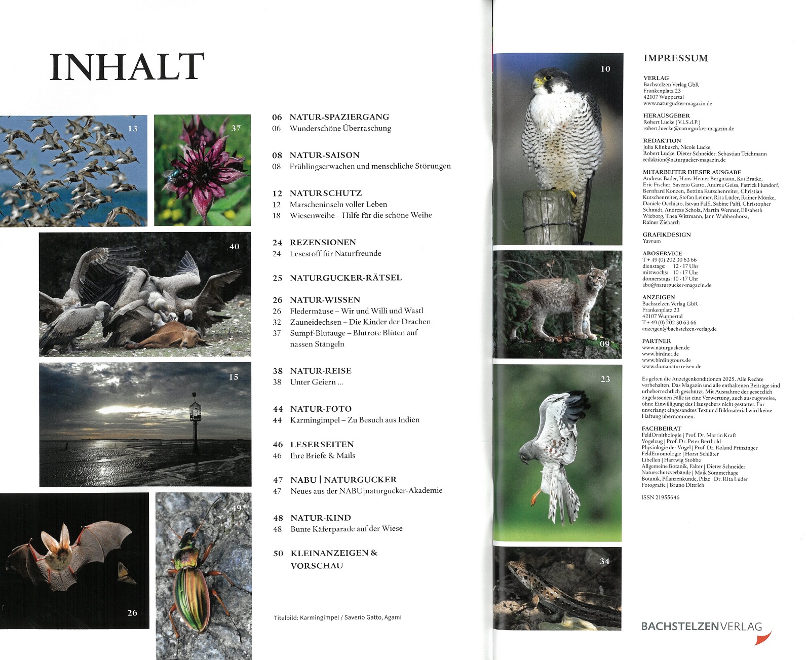 naturgucker 78/2025