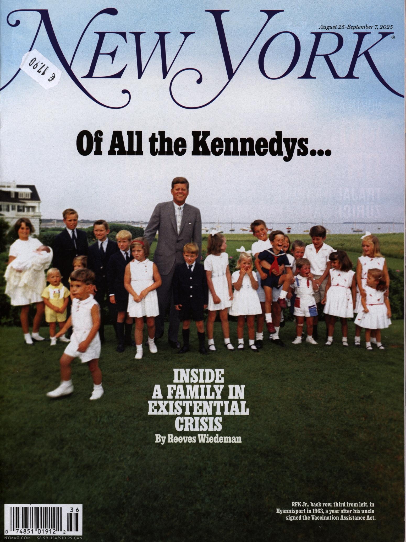 NEW YORK MAGAZINE 36/2025