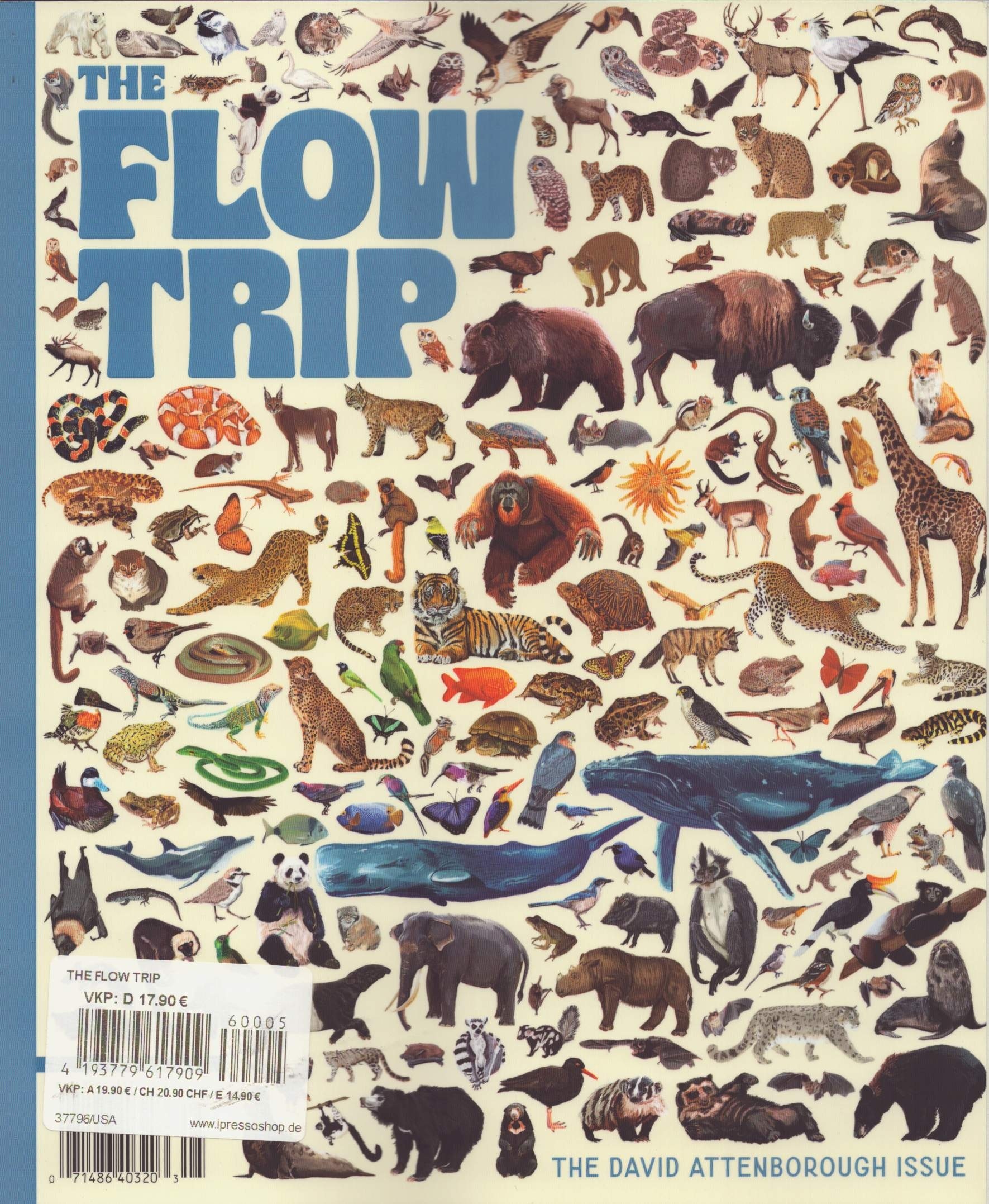 The Flow Trip 5/2026