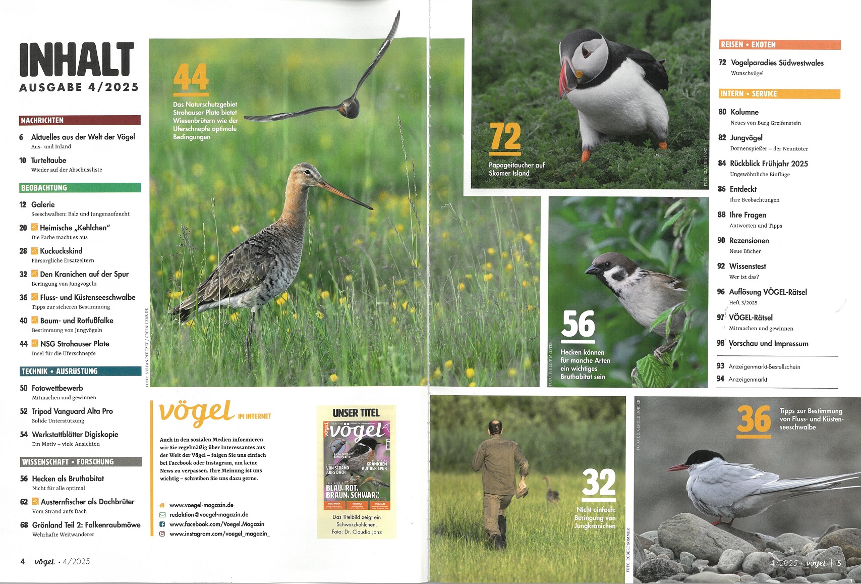 Vögel 4/2025 Vögel 4/2025