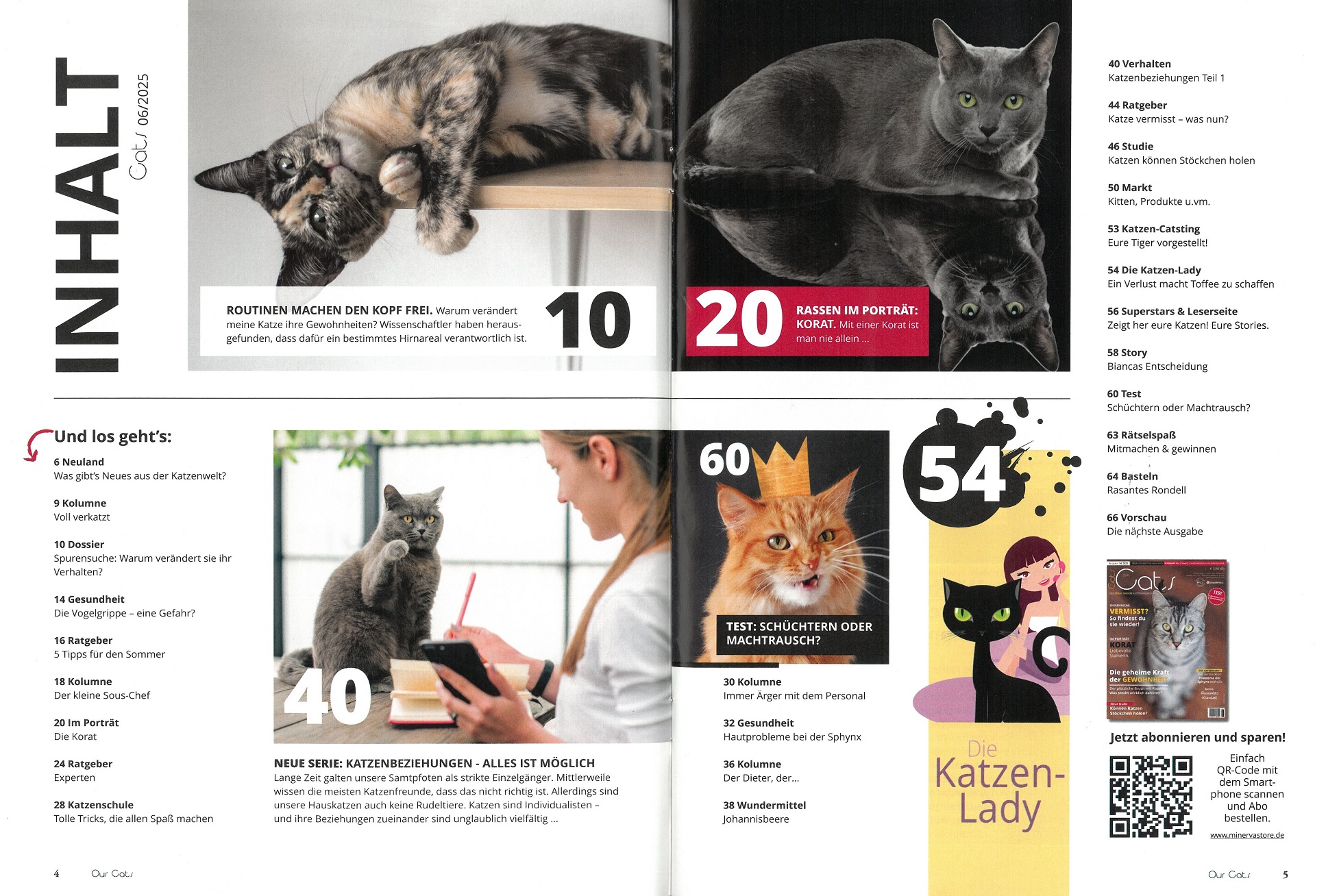 Our Cats 6/2025