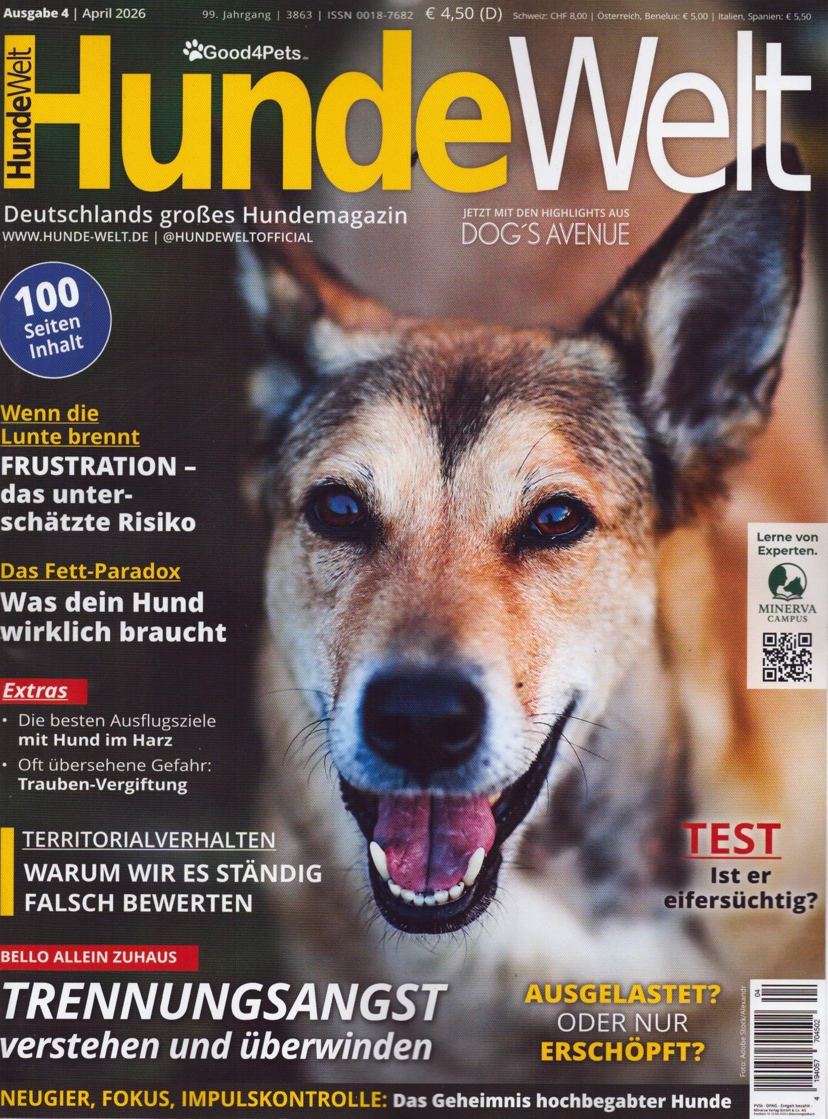 Hundewelt 4/2026