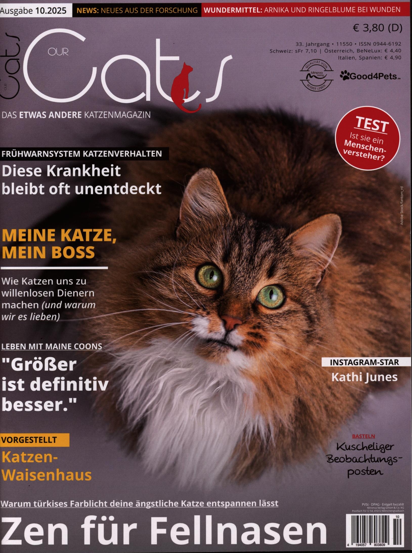 Our Cats 10/2025