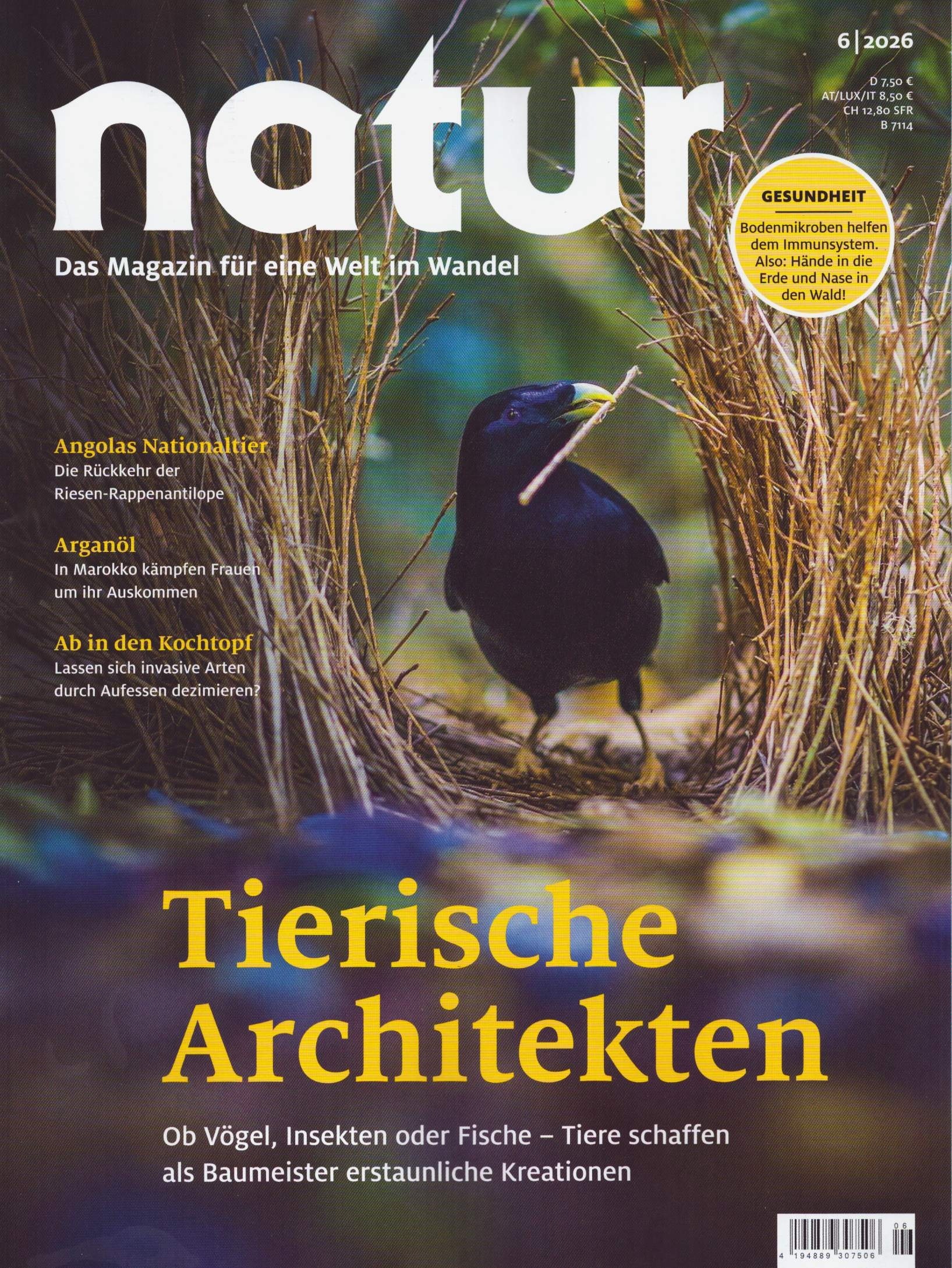 Natur 6/2026