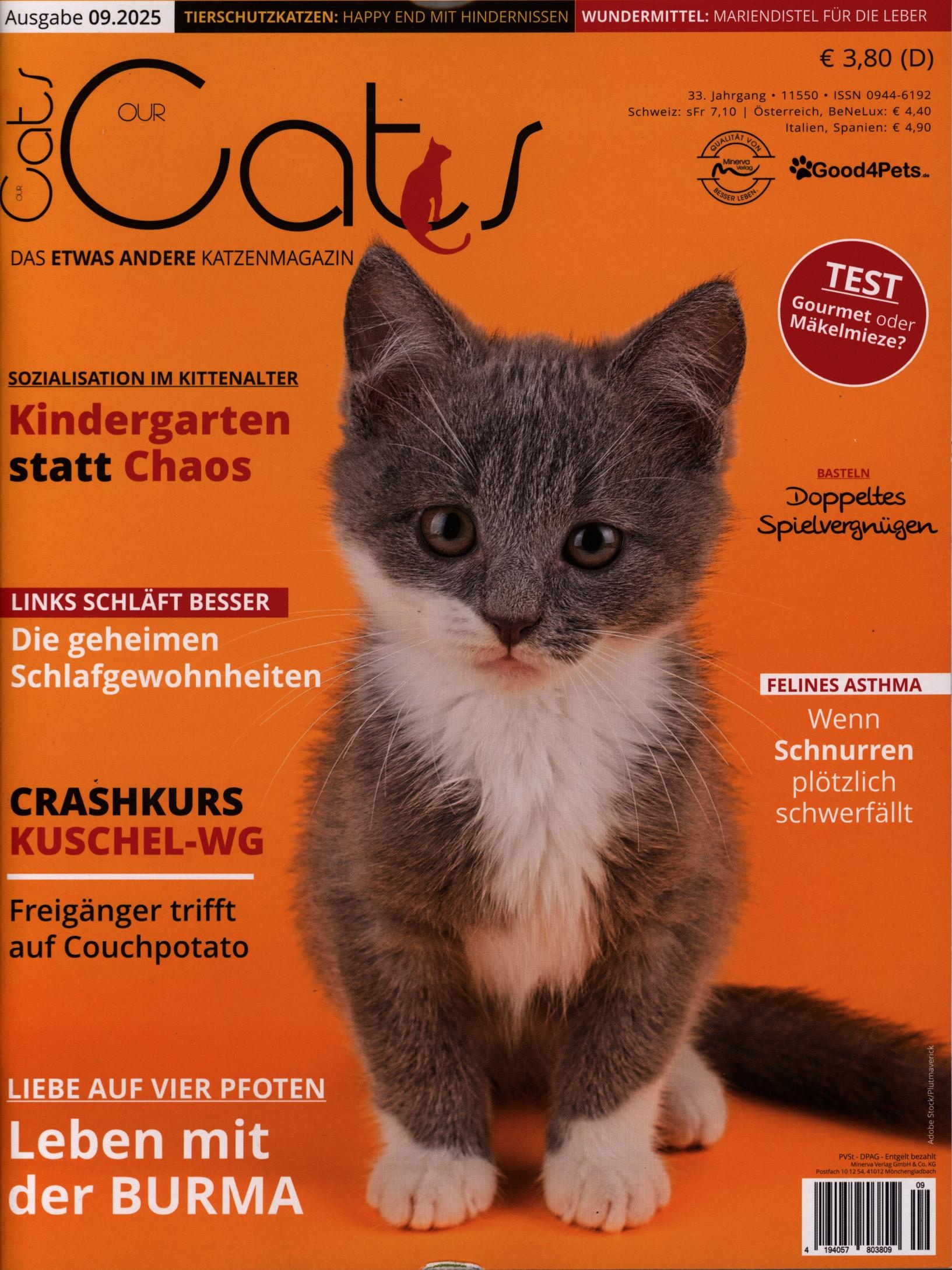 Our Cats 9/2025