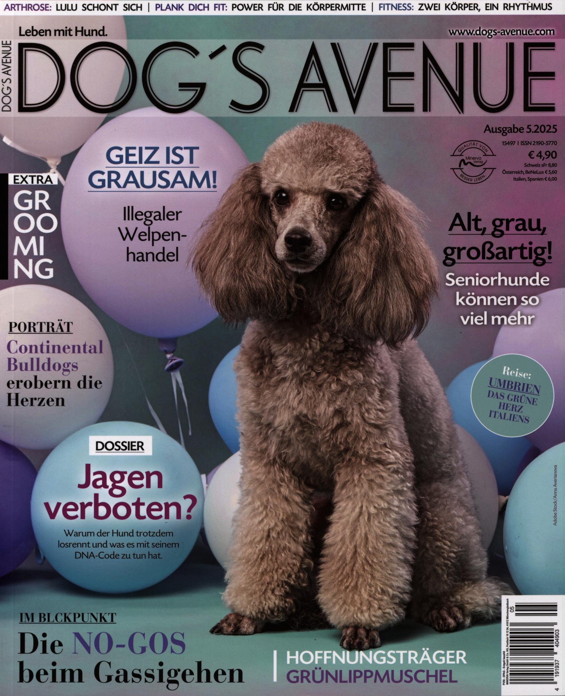 Dog's Avenue 5/2025