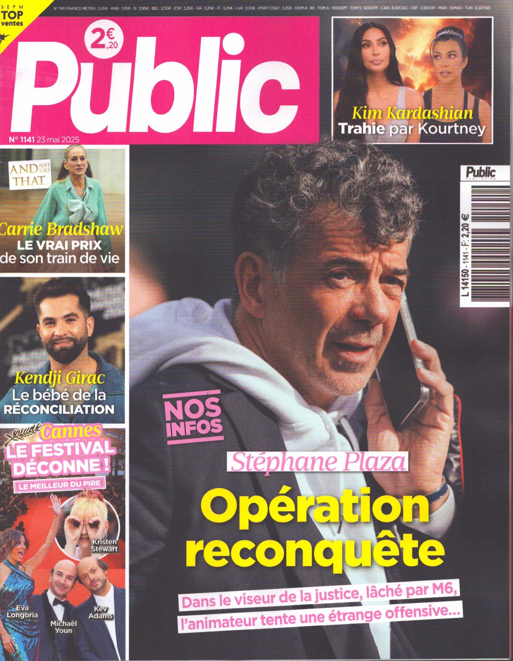 Public 1141/2025