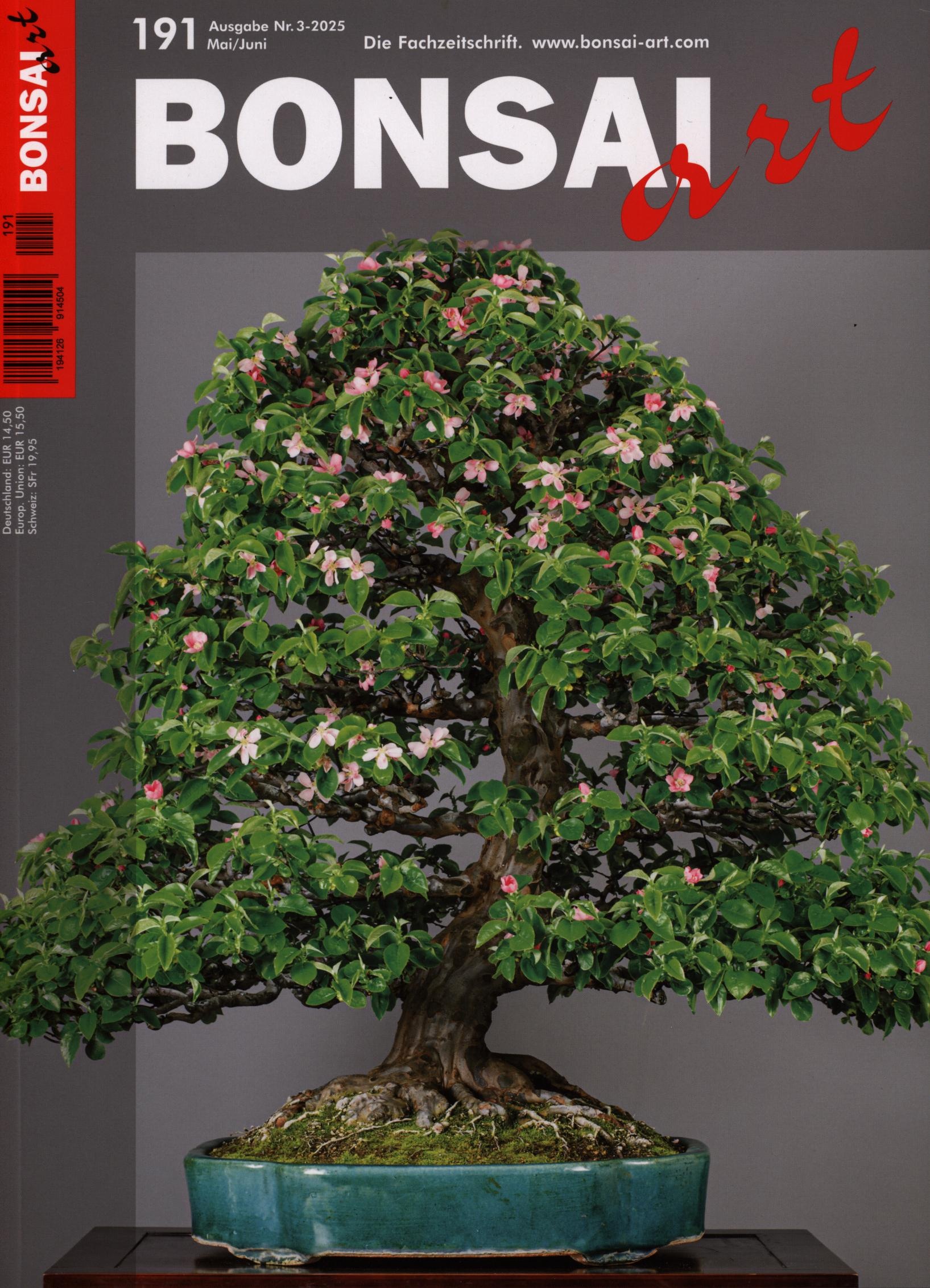 BONSAI ART 191/2025