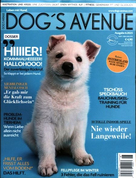 Dog's Avenue 6/2025