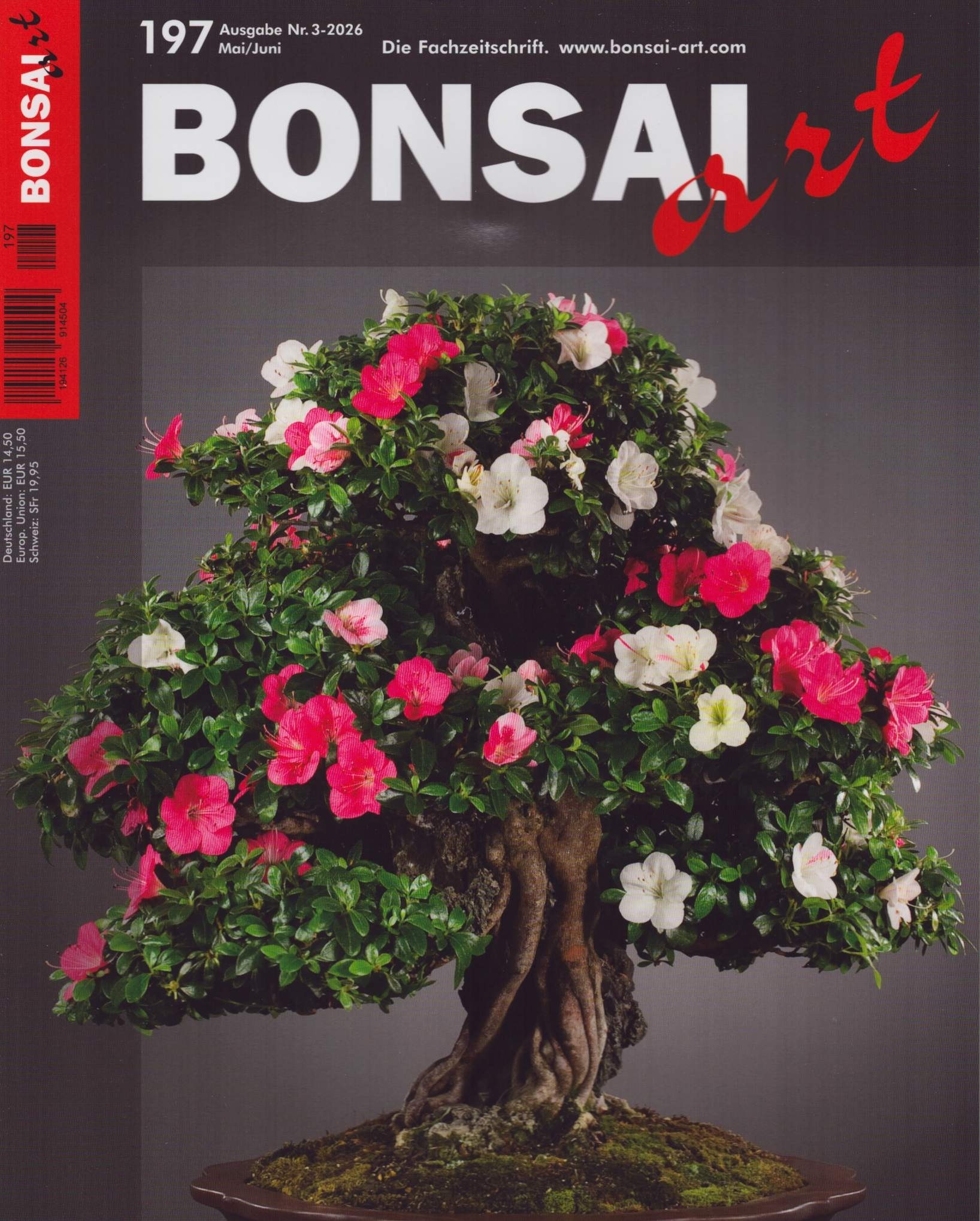 BONSAI ART 197/2026