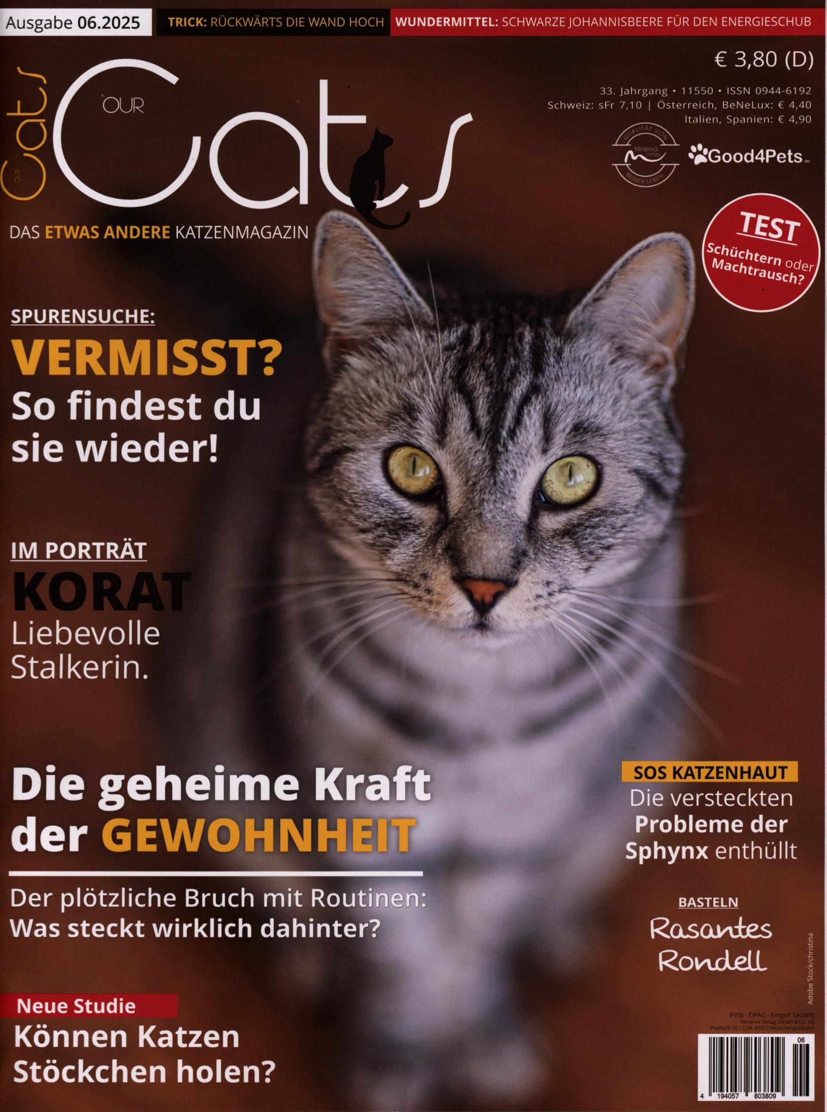 Our Cats 6/2025