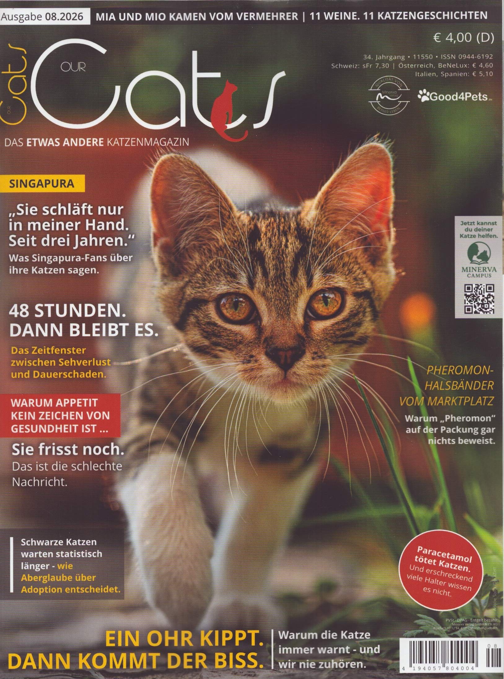 Our Cats 8/2026