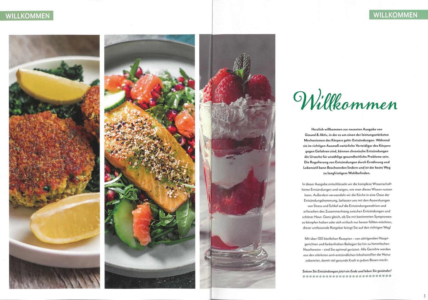Gesund & Aktiv 2/2025