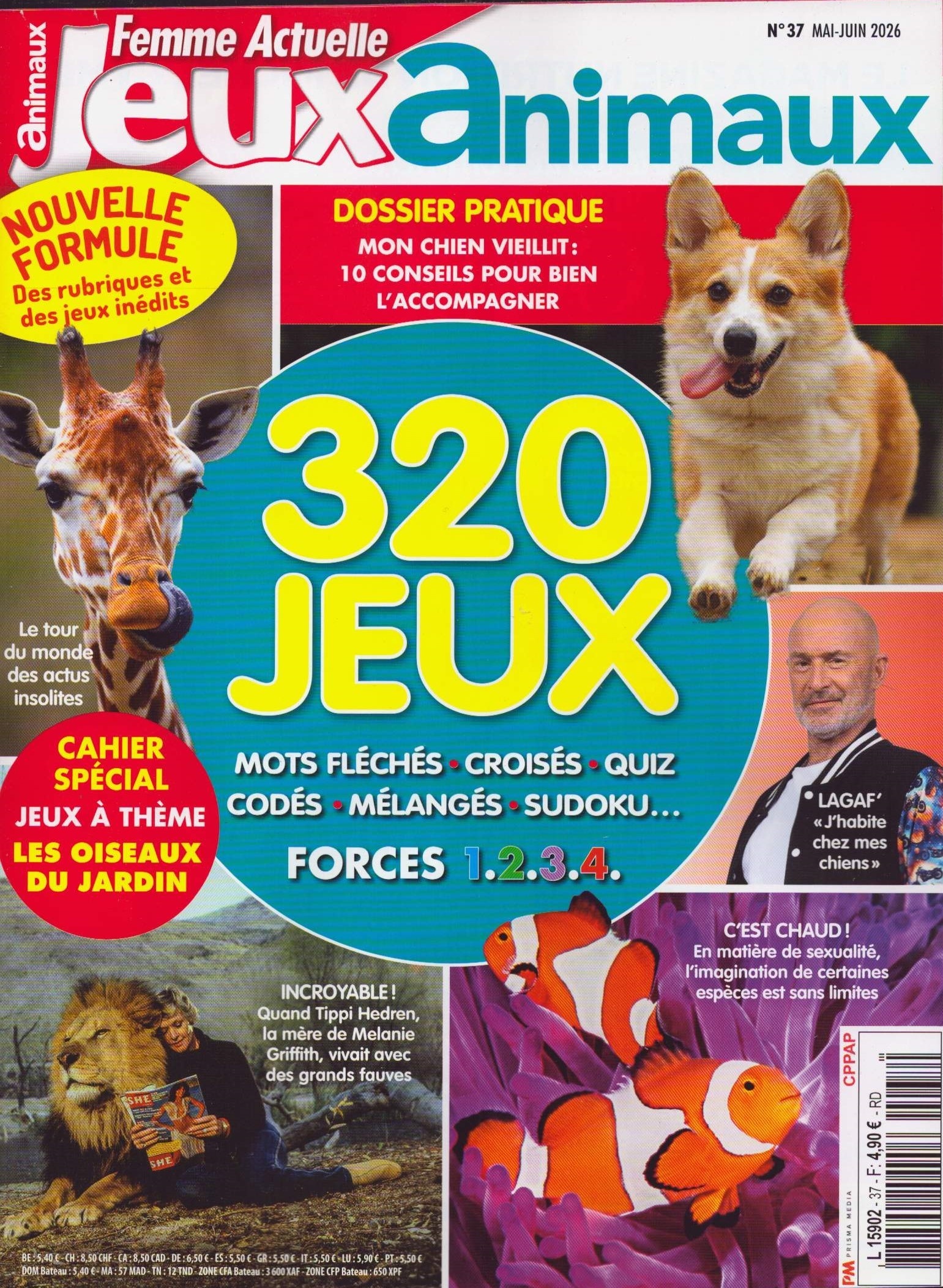 Femme Actuelle Jeux animaux 37/2026