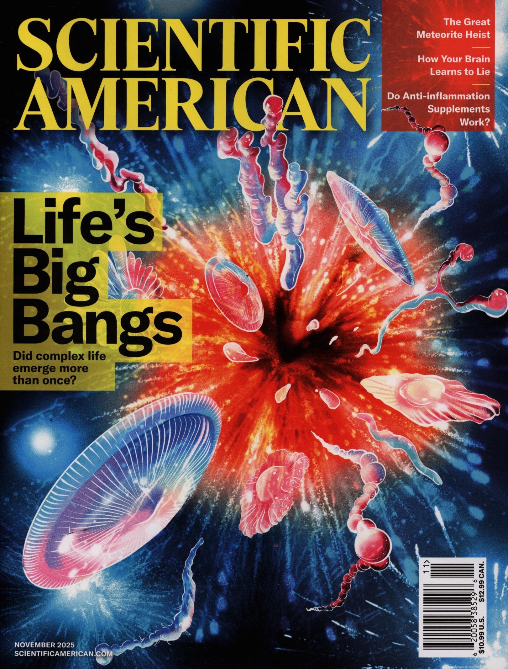 SCIENTIFIC AMERICAN 11/2025