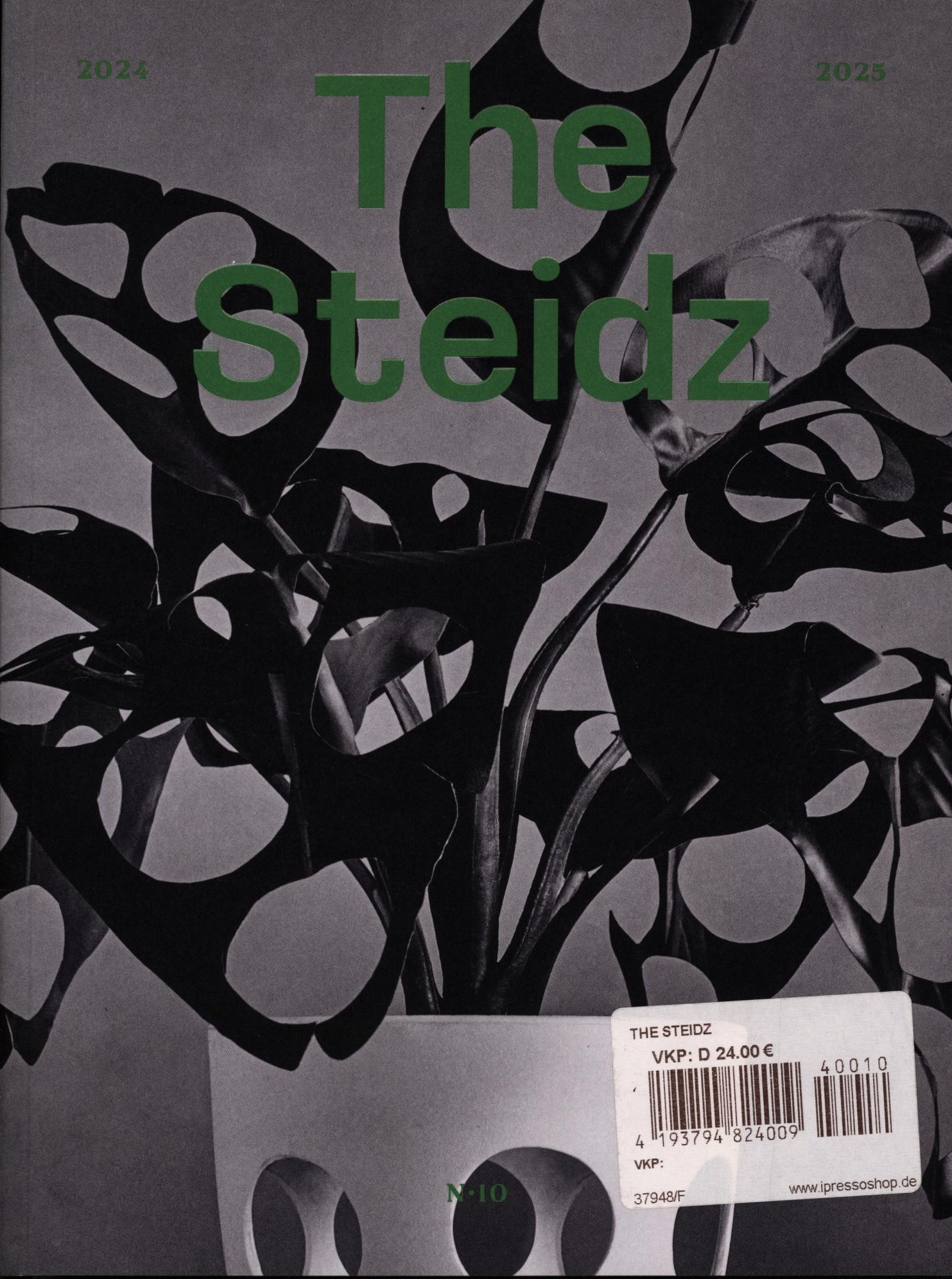 THE STEIDZ 10/2024