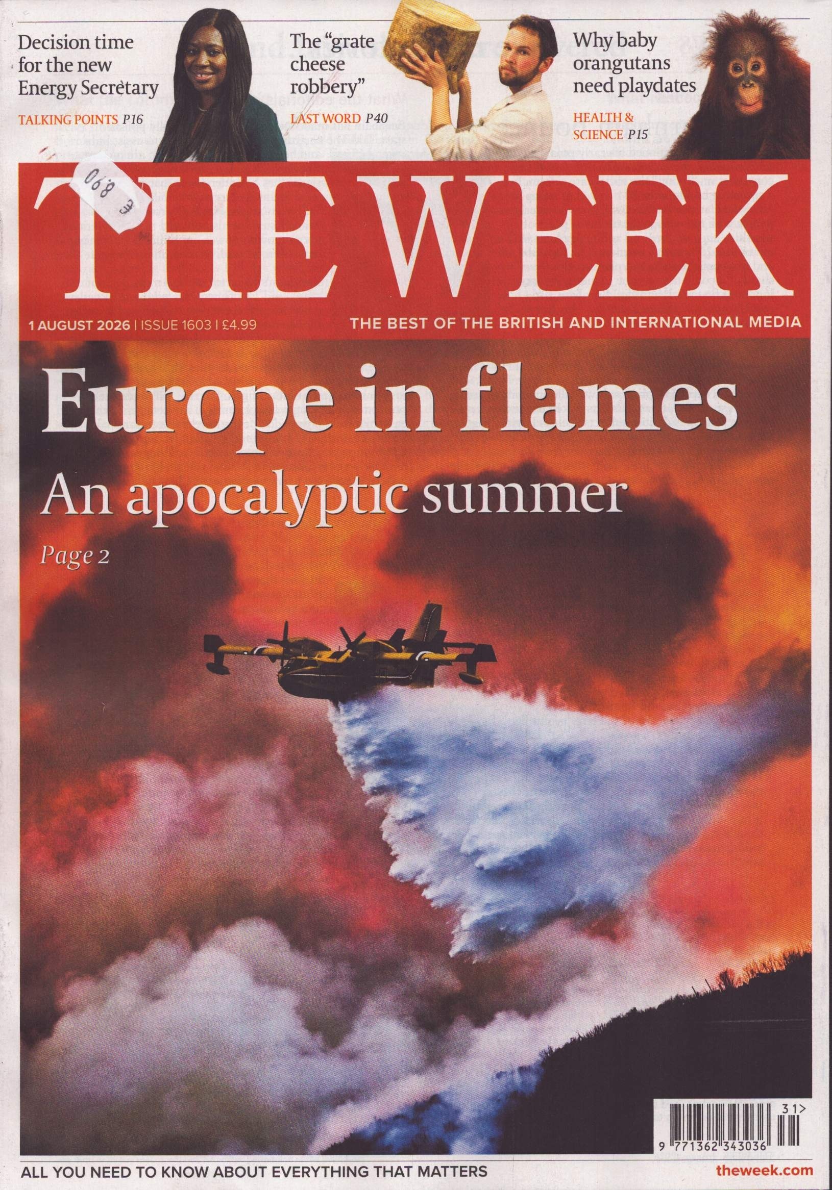 THE WEEK 31/2026
