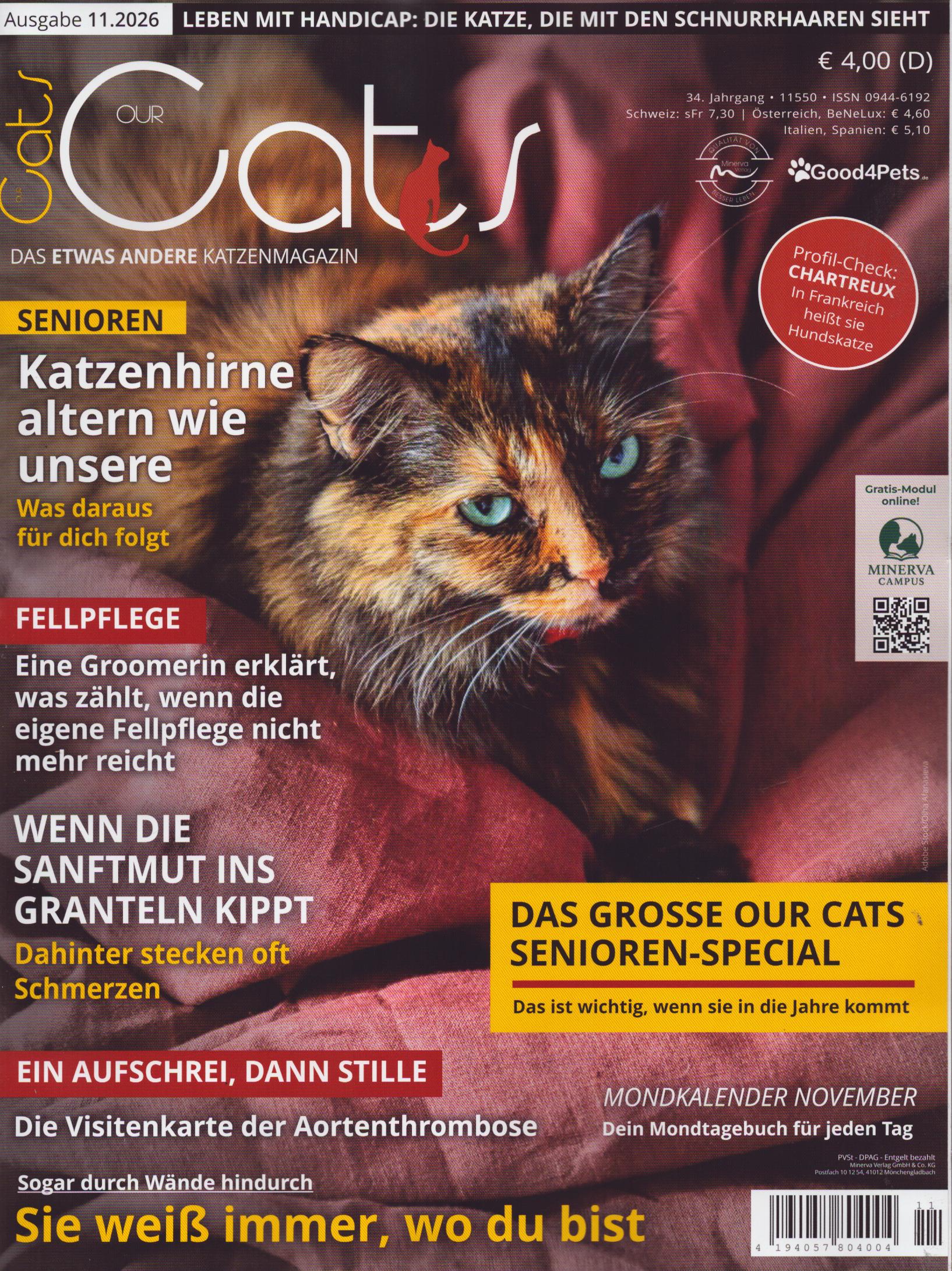 Our Cats 11/2026